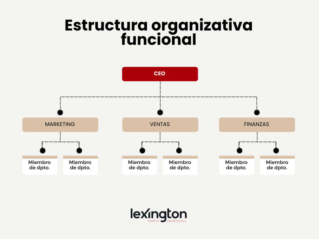 Todo sobre la Estructura Organizacional: conceptos, tipos y ejemplos 5 blog 4 tipo3